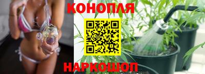 трава Малгобек