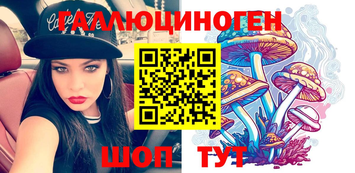 Псилоцибиновые грибы прущие грибы  Галлюциногенные грибы Psilocybine cubensis  Томск  Вход с VPN 